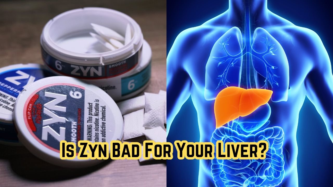 Is Zyn Bad For Your Liver