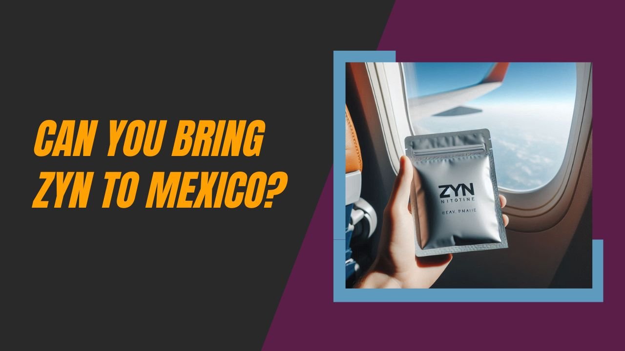 Can You Bring Zyn To Mexico