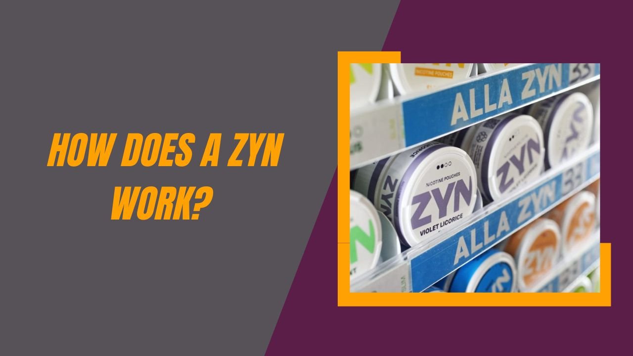 How Does A Zyn Work